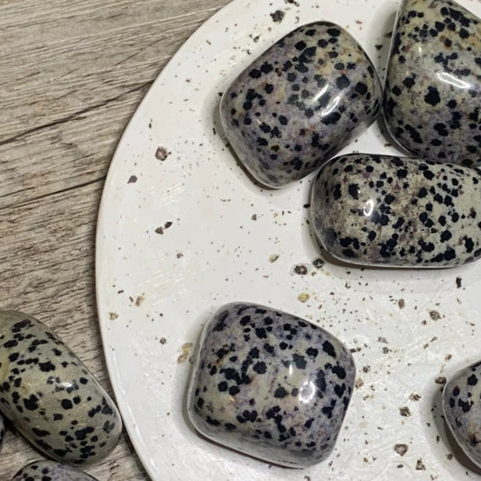 Dalmatian Jasper | Tumbled Stone